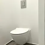 Spacious Apartment For 3
