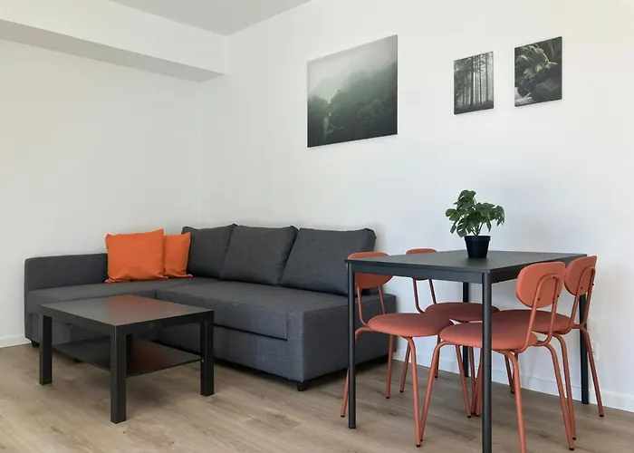 Spacious Apartment For 3